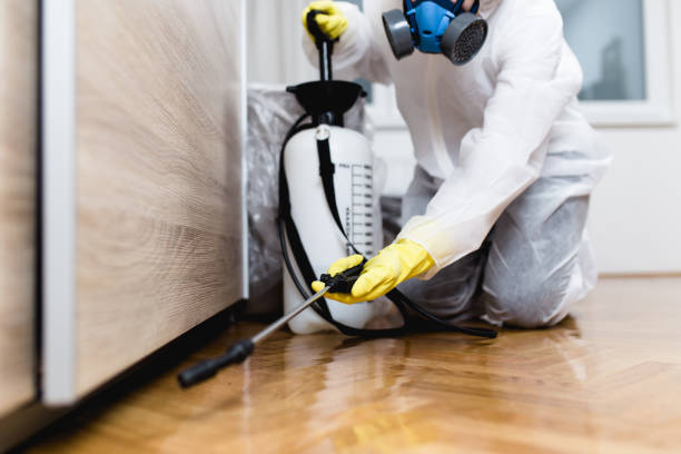 Best Pest Removal Services  in Clarks Summit, PA