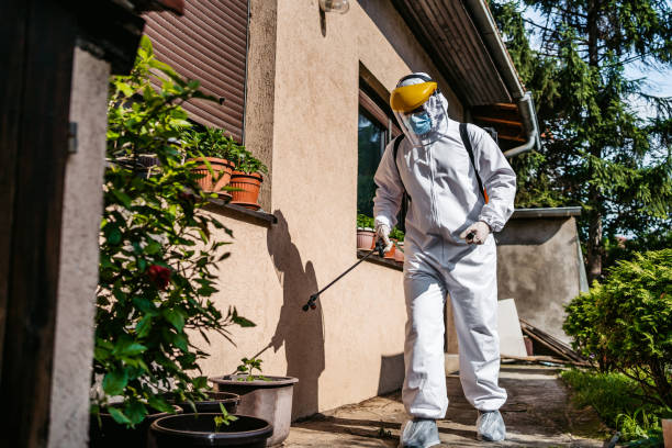 Reliable Clarks Summit, PA Pest Control Solutions