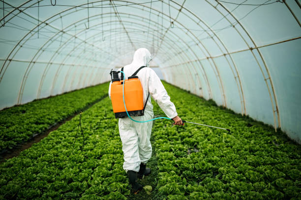 Best Pest Prevention Services  in Clarks Summit, PA