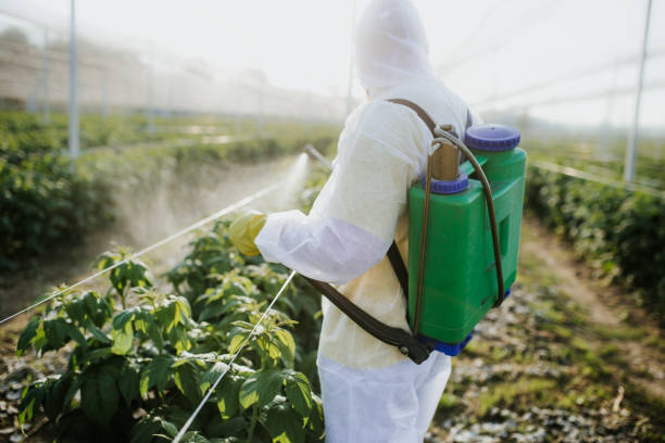 Best Best Pest Control Companies  in Clarks Summit, PA